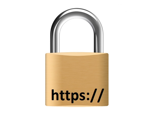 How SSL Works: The Basics