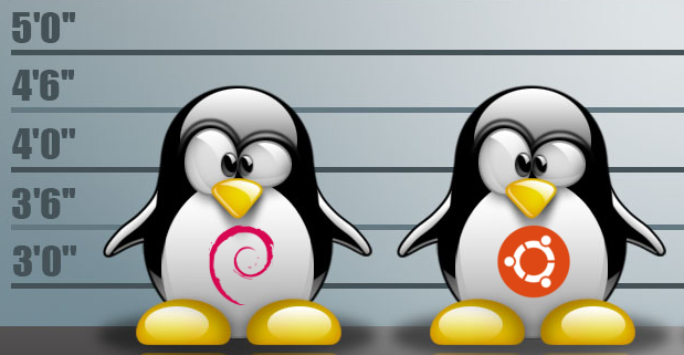Debian 6 vs Ubuntu 12.04 for Your Web Server