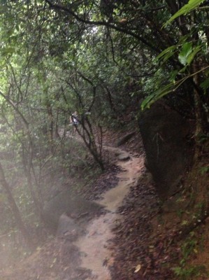trail_stream